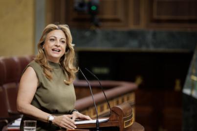 Coalición Canaria pide uso excepcional de fitosanitarios