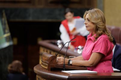 Valido solicita al Gobierno que aclare como defiende el Posei en la UE