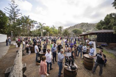 El sector del vino se consolida en hectáreas cultivadas y calidad