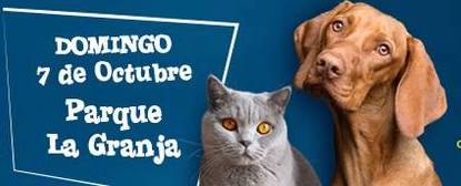 Más de 40 actividades el fin de semana del IX Día de los Animales y “Ven a Santa Cruz”