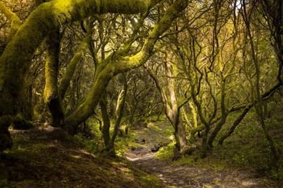 Día Internacional de la Reserva de la Biosfera