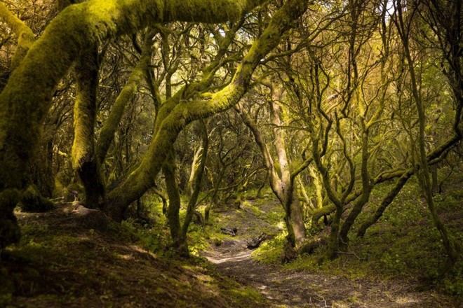 Día Internacional de la Reserva de la Biosfera