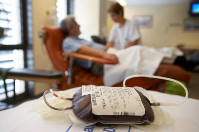 Sanidad insta a registrarse como donante de médula ósea