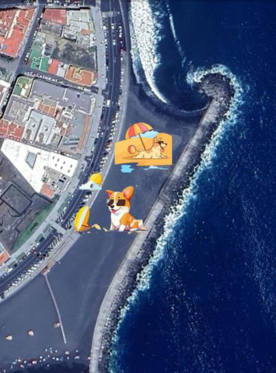 PACMA propone habilitar una zona de playa para perros en Santa Cruz de La Palma