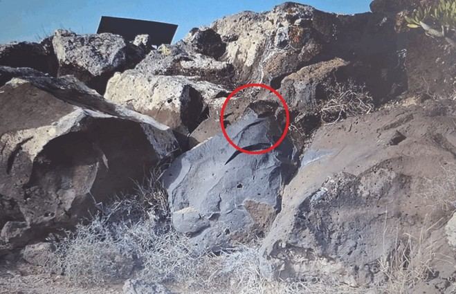Lanzarote repudia ataque a grabado rupestre en Zonzamas
