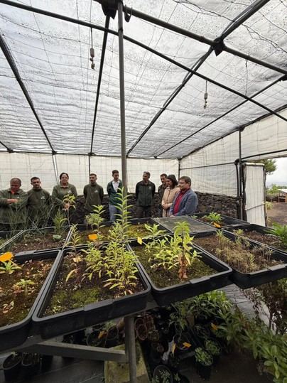 El Cabildo de El Hierro lanza un Banco de Semillas en el Creal
