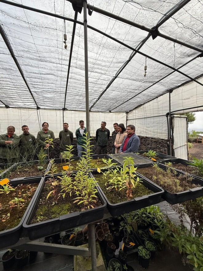 El Cabildo de El Hierro lanza un Banco de Semillas en el Creal