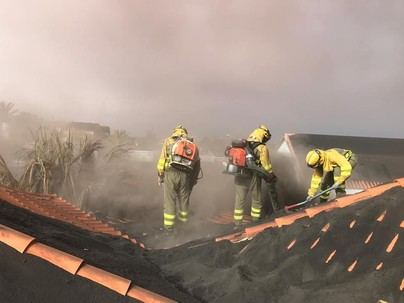El Cabildo de La Palma premia a la asociación SinSuela por su labor ambiental