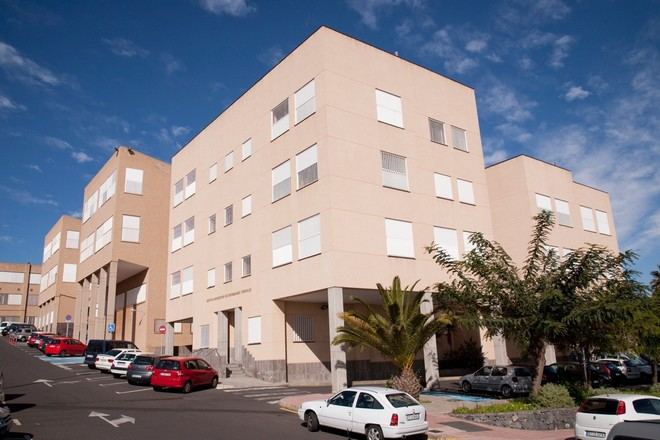 Detectan mosquito tigre en Fuerteventura y activan protocolo de vigilancia