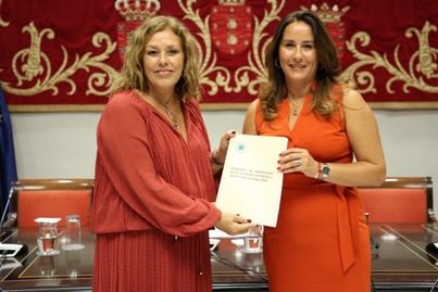 Canarias avanza en la reforma de la Ley de Cabildos
