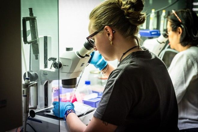 Desempleo en España cae por debajo de 2.5 millones en mayo