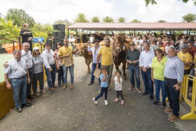 Éxito en la Feria de Ganado de Gran Canaria