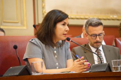 Santa Cruz aprueba la Ordenanza de la Zona de Bajas Emisiones