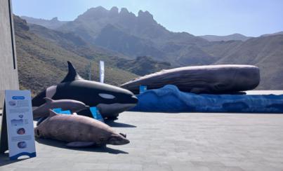 Loro Parque y Ayuntamiento del Puerto de la Cruz, unidos por la cultura en Mueca 2025
