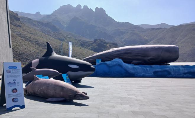 Loro Parque y Ayuntamiento del Puerto de la Cruz, unidos por la cultura en Mueca 2025