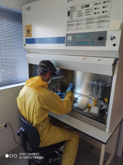 El Ministerio de Ciencia e Innovación acredita al IUSA-ULPGC para realizar pruebas PCR para detectar el covid-19