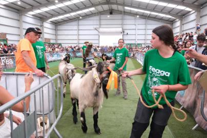 Un ejemplar de la Ganadería de Andrés Rodríguez, la puja más alta de la subasta de sementales