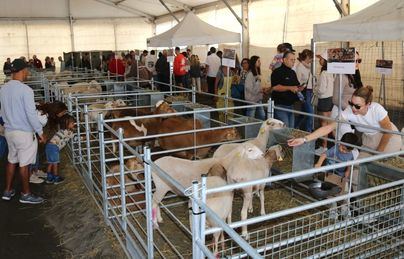 Uga invita a los cuatro días de su Feria Insular de Ganado