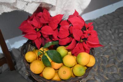 Vuelve la Feria de la Naranja en Telde