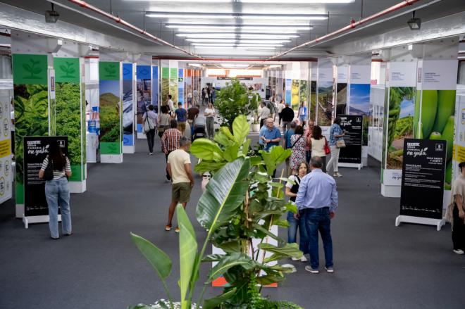 Feria Gran Canaria Me Gusta: celebración de productos locales
