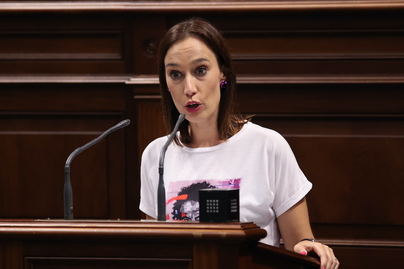 El Parlamento concederá la Medalla de Oro de Canarias a Pedro Zerolo