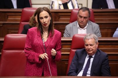 Fierro al Gobierno canario: “son ustedes una estafa”