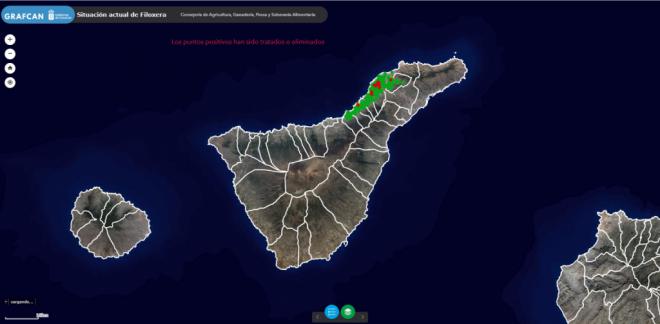GRAFCAN lanza visor geográfico para controlar la filoxera