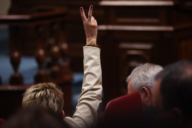 DENCANARIAS25 concluye con 86 propuestas aprobadas de 184 presentadas