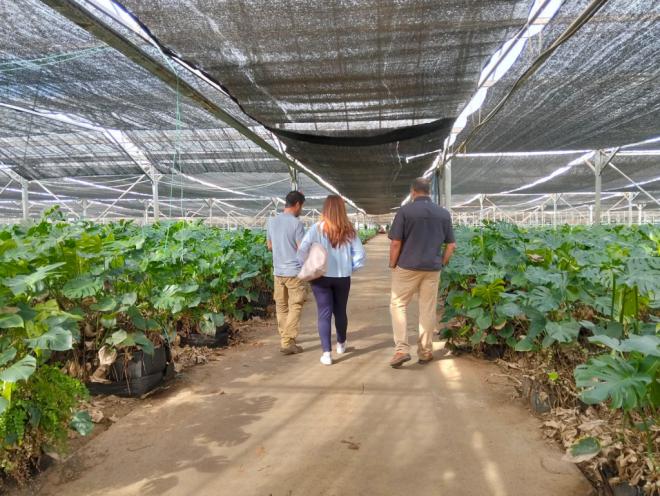 Apoyo al cultivo ecológico en La Laguna
