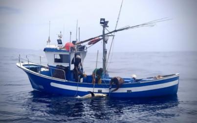Peligro para la flota artesanal canaria