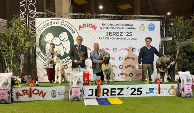 Eduardo León brilla en la Exposición Canina Nacional e Internacional de Jerez de la Frontera
