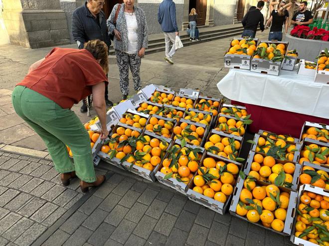 Más de 15.000 personas disfrutan de la XIII Feria de la Naranja de Telde