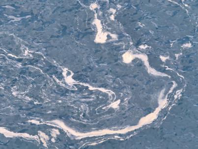 Nuevas manchas de residuos por el litoral y más peces muertos