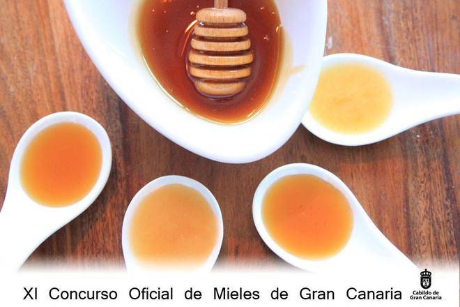 Gran Canaria busca su Mejor Miel de 2016