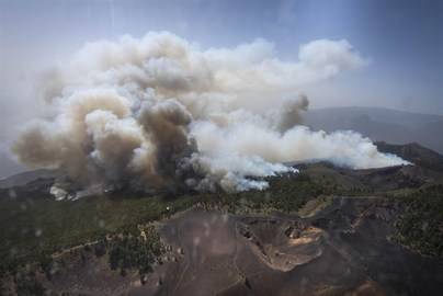 El impacto del incendio de La Palma está siendo "devastador", según SEO/BirdLife