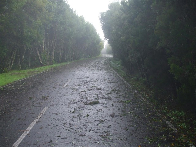 Canarias seguirá este domingo en aviso amarillo por vientos de más de 70 km/h y olas de 4 metros