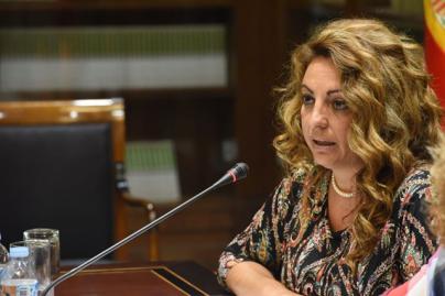 Canarias pide la revisión del plan estatal de vivienda para frenar el impacto del alquiler vacacional