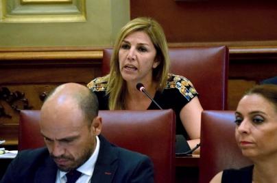 Aprobada la creación del Consejo de Patrimonio Histórico de Santa Cruz de Tenerife