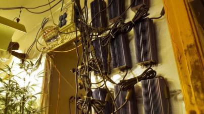El robo de luz se dispara por el boom de las plantaciones de marihuana