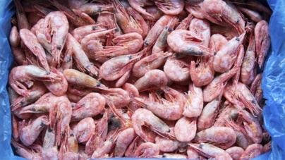Hallados restos de cocaína y ketamina en gambas de Reino Unido