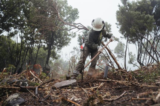 La actividad de Gesplan genera un impacto de 241 millones de euros