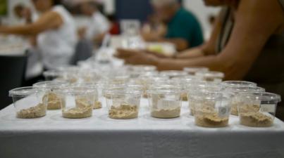 Once molinos compiten por convertirse en el Mejor Gofio de Canarias