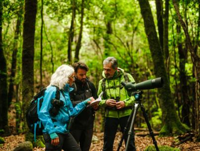 Canarias posiciona el destino como referente para la observación de aves