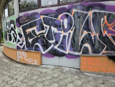 Los grafitis vandálicos suponen un coste anual de 100.000 euros
