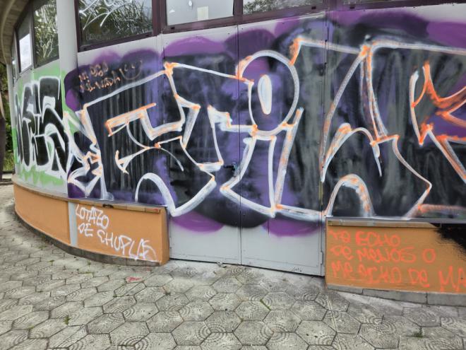 Los grafitis vandálicos suponen un coste anual de 100.000 euros