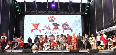 Kathy y Hachiko, reyes caninos del Carnaval de Playa Blanca