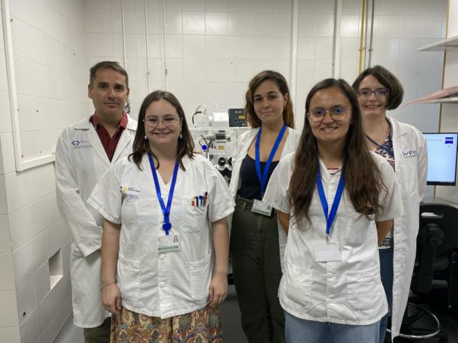 Descubren proteína Msc1 que protege el ADN celular