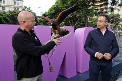 Un halcón sobrevolará Santa Cruz, de forma controlada, para disuadir a las palomas