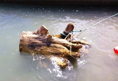 Retiran troncos y boyas a la deriva en operaciones de seguridad marítima