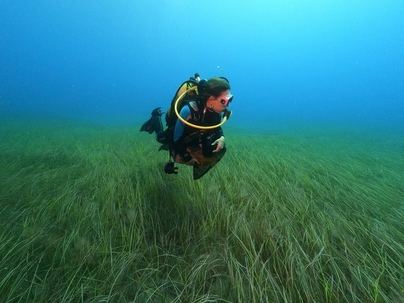 Ls pérdida de biodiversidad marina afecta a la salud de bañistas